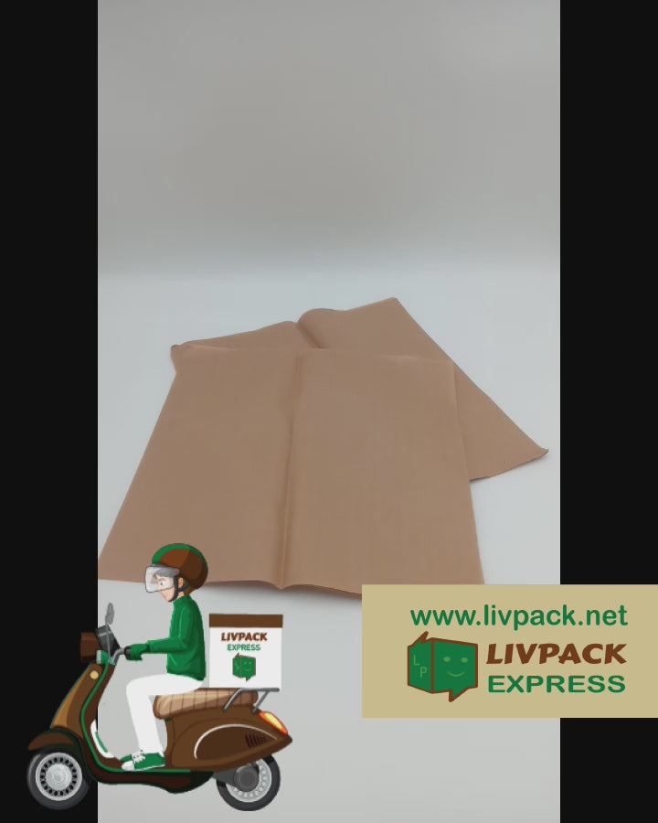 SAFIGLE 25 Pièces Boîtes à Tacos Papier Robustes Et Jetables