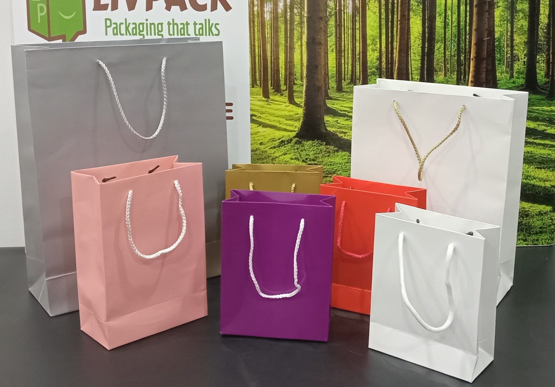 Sac boutique rigide coloré 16x23x8 cm – emballage professionnel